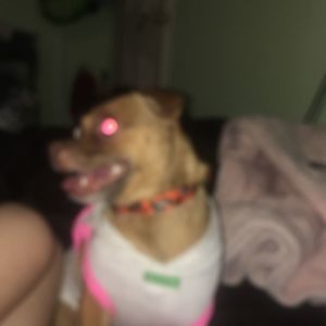 Meet your Posher, Teresa